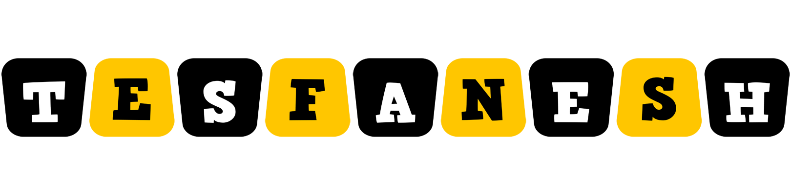 Tesfanesh boots logo