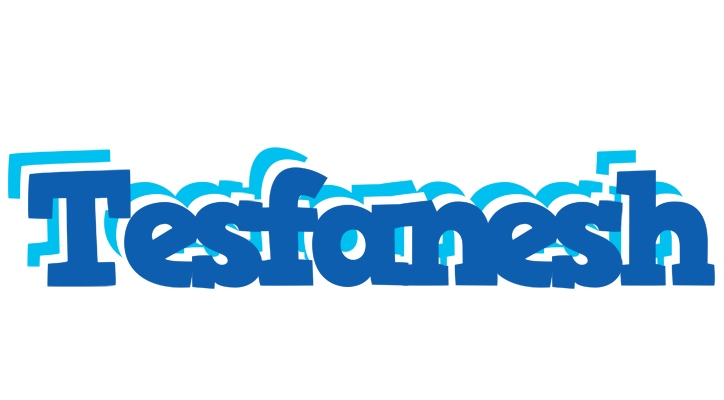 Tesfanesh business logo