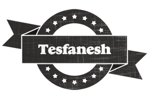 Tesfanesh grunge logo