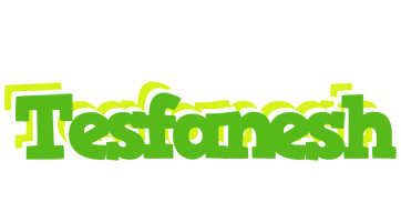 Tesfanesh picnic logo