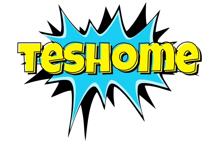 Teshome amazing logo
