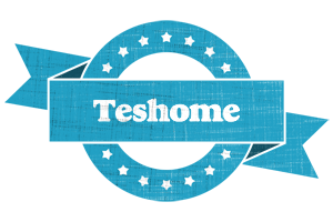 Teshome balance logo