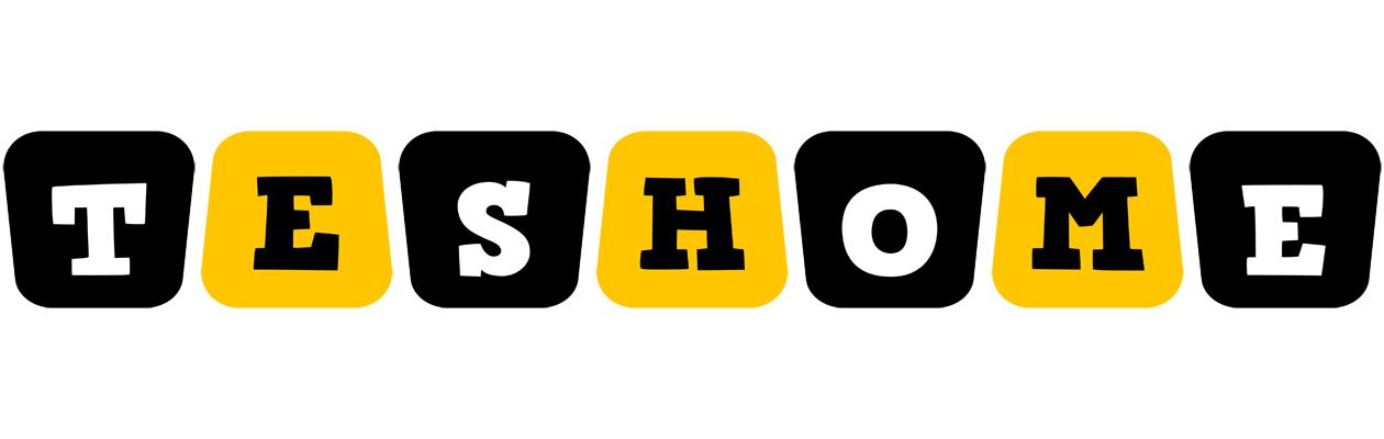 Teshome boots logo