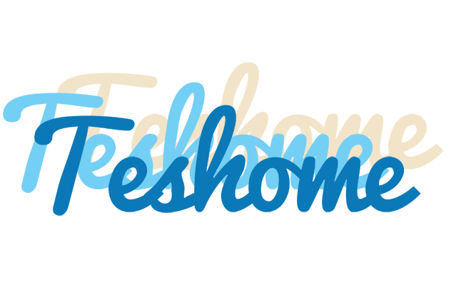 Teshome breeze logo