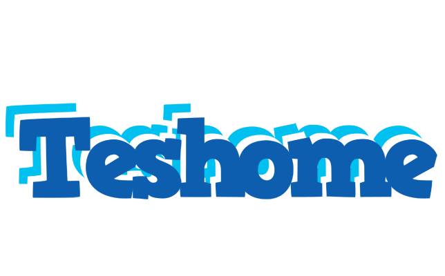 Teshome business logo