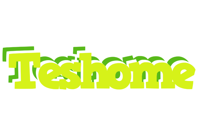 Teshome citrus logo