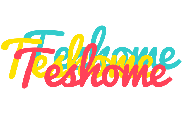 Teshome disco logo