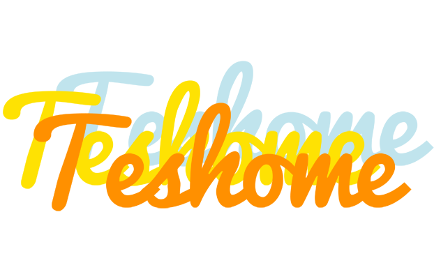 Teshome energy logo