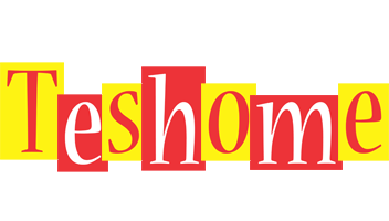 Teshome errors logo