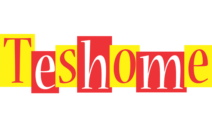 Teshome errors logo