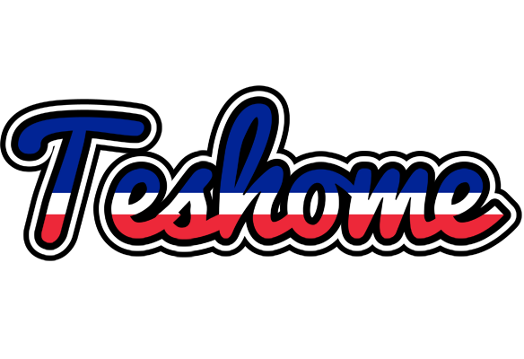 Teshome france logo