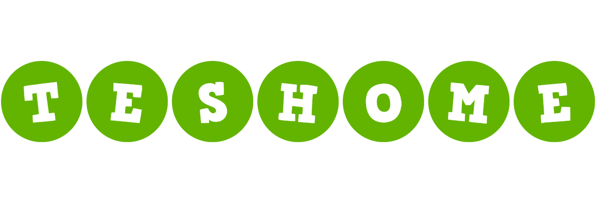 Teshome games logo