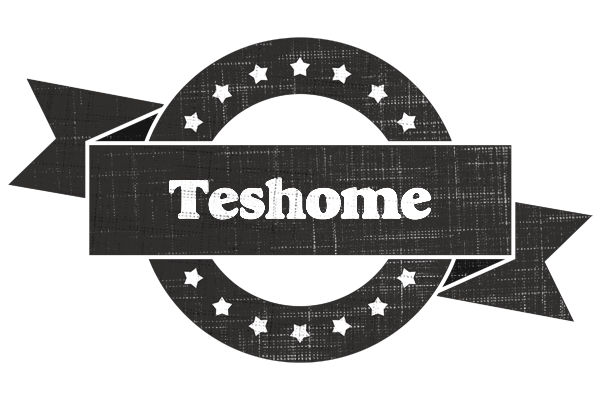 Teshome grunge logo