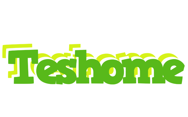 Teshome picnic logo