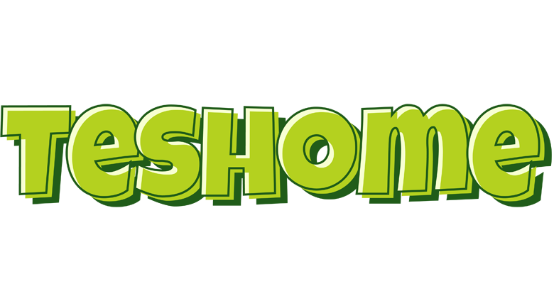 Teshome summer logo