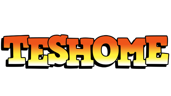 Teshome sunset logo
