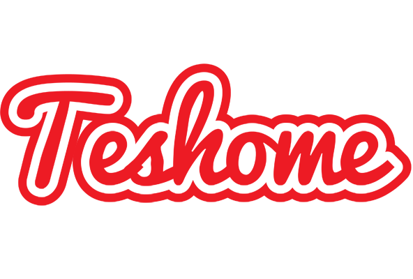 Teshome sunshine logo