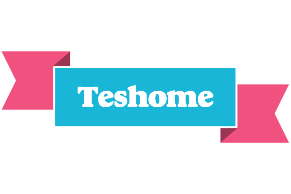 Teshome today logo