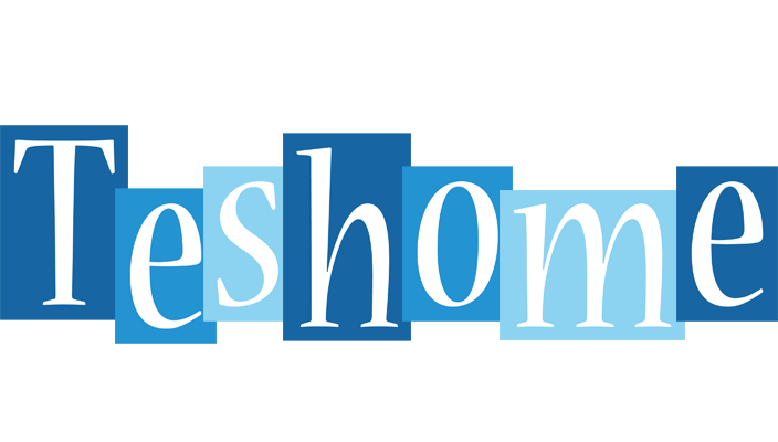 Teshome winter logo