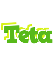 Teta picnic logo
