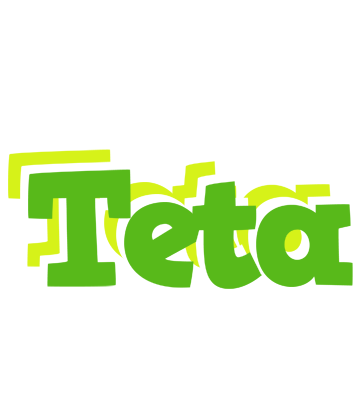 Teta picnic logo
