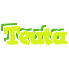 Teuta citrus logo