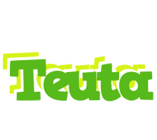 Teuta picnic logo