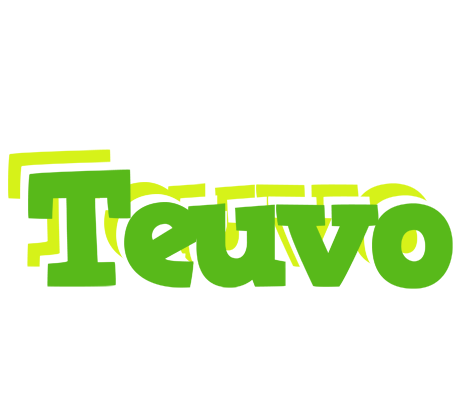 Teuvo picnic logo