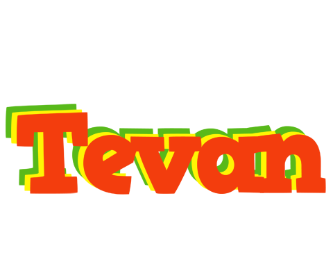 Tevan bbq logo