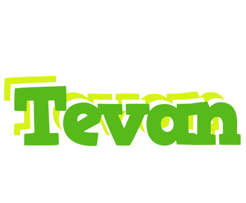 Tevan picnic logo