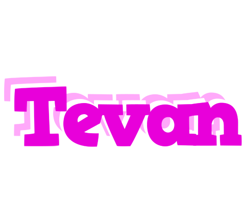 Tevan rumba logo