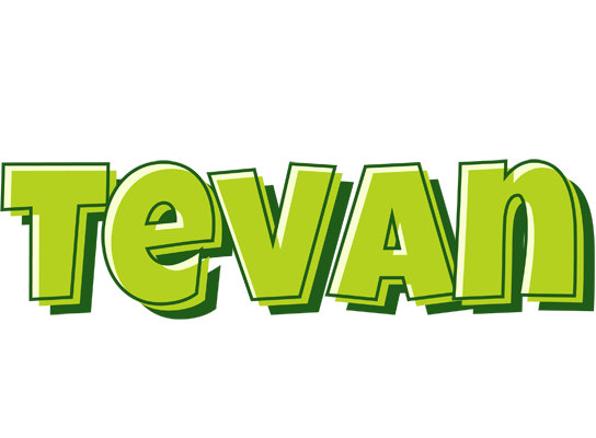 Tevan summer logo