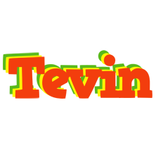 Tevin bbq logo