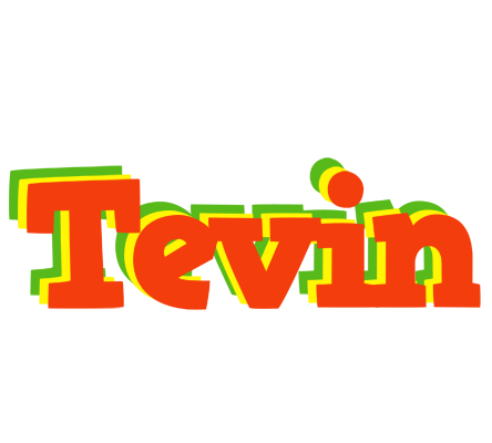 Tevin bbq logo