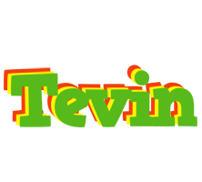 Tevin crocodile logo