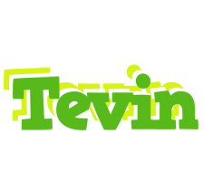 Tevin picnic logo