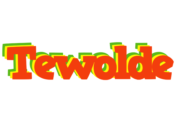 Tewolde bbq logo