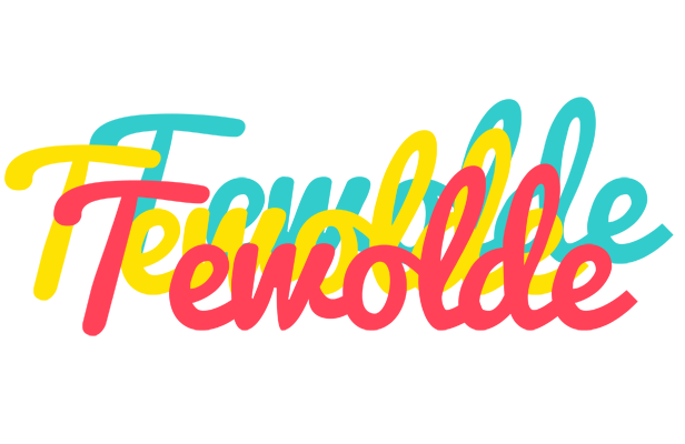 Tewolde disco logo