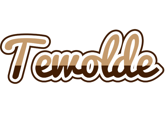 Tewolde exclusive logo