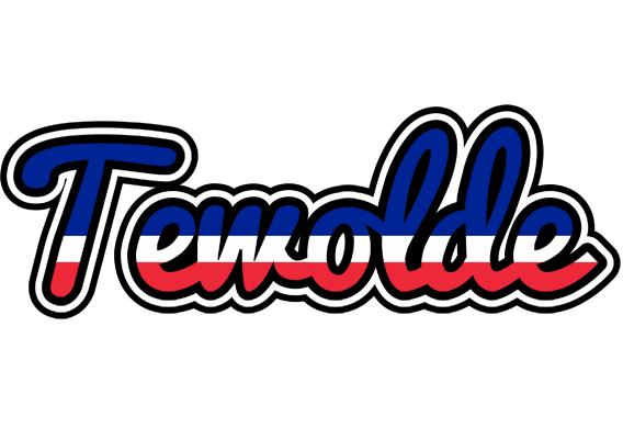 Tewolde france logo