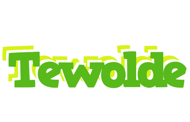 Tewolde picnic logo