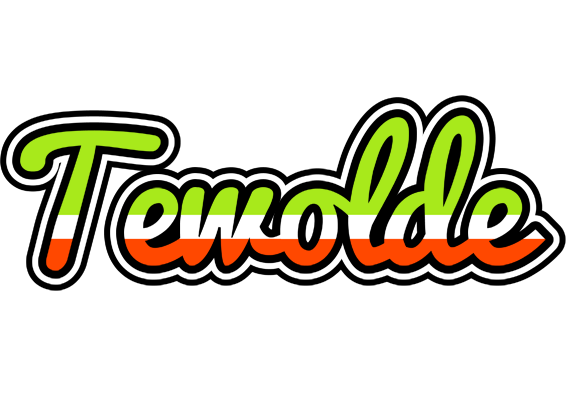 Tewolde superfun logo