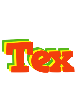 Tex bbq logo