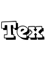 Tex snowing logo