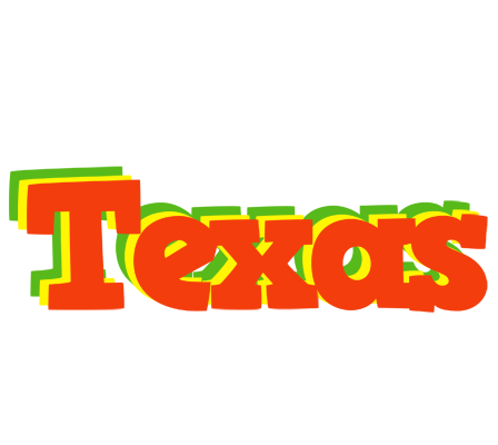 Texas bbq logo