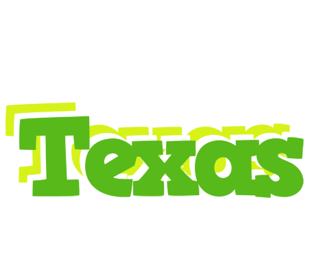 Texas picnic logo
