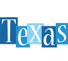 Texas winter logo