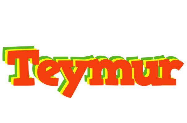 Teymur bbq logo