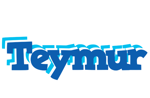Teymur business logo