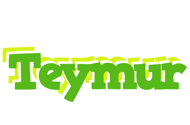 Teymur picnic logo